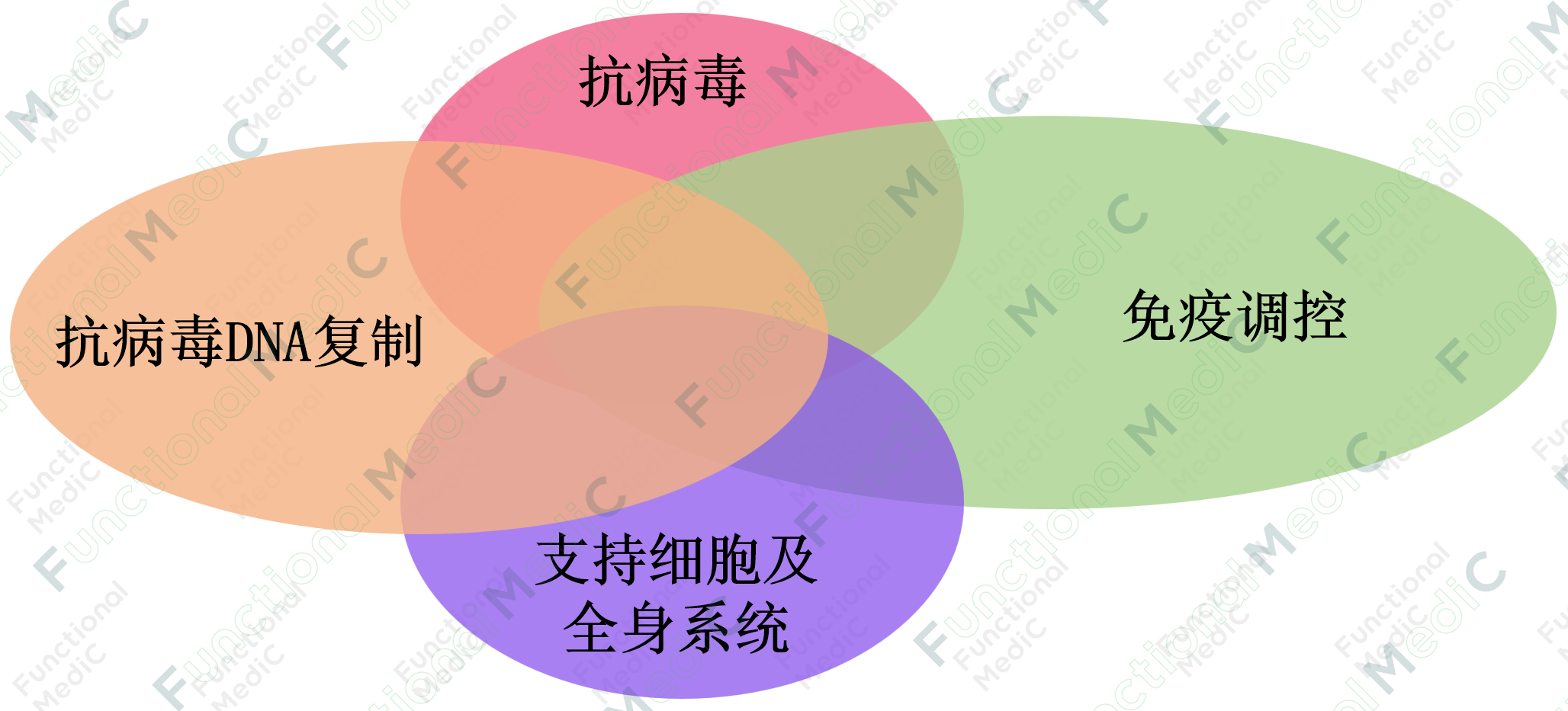 温故而知新专栏 | 病毒系列（1）：功能医学指导下病毒感染防治干预策略