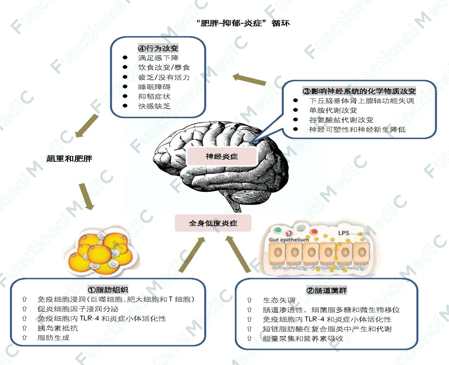 温故而知新专栏 | 抑郁症的抗炎症治疗