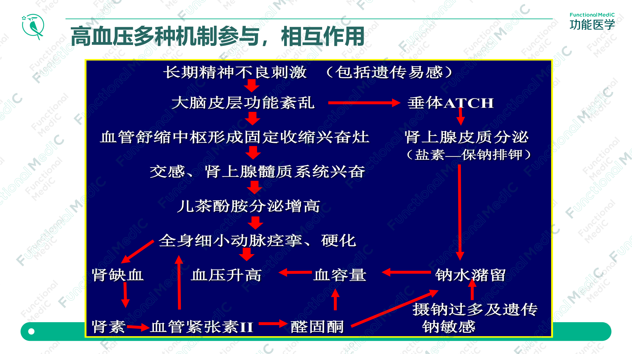 温故而知新专栏 | 高血压药物与营养的相互作用（三）ACEI & ARB