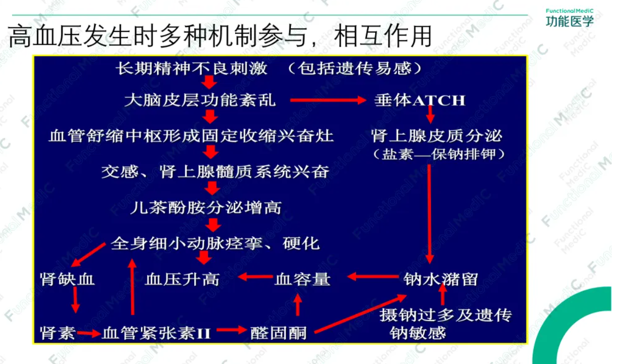 温故而知新专栏 | 高血压药物与营养的相互作用（一）利尿剂