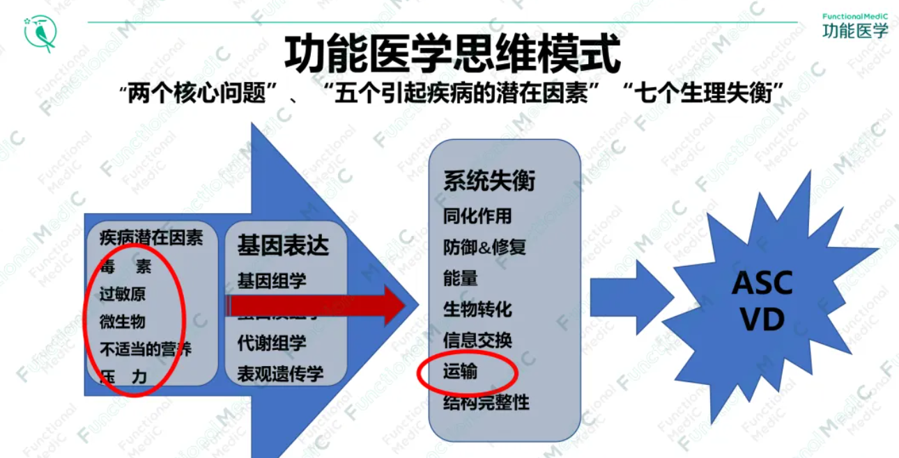 温故而知新专栏 | 血脂异常和动脉硬化的功能医学干预（下）